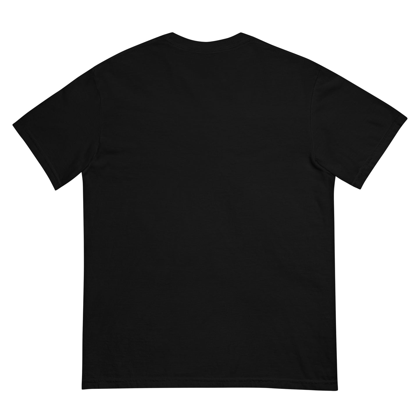 "Last Rites" Album Unisex garment-dyed heavyweight t-shirt